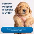 PetAg Sure Grow 100 Vitamin Puppy Supplement, 100 chewable tablets