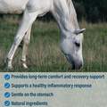 Absorbine Bute-Less Comfort & Recovery Supplement Pellets