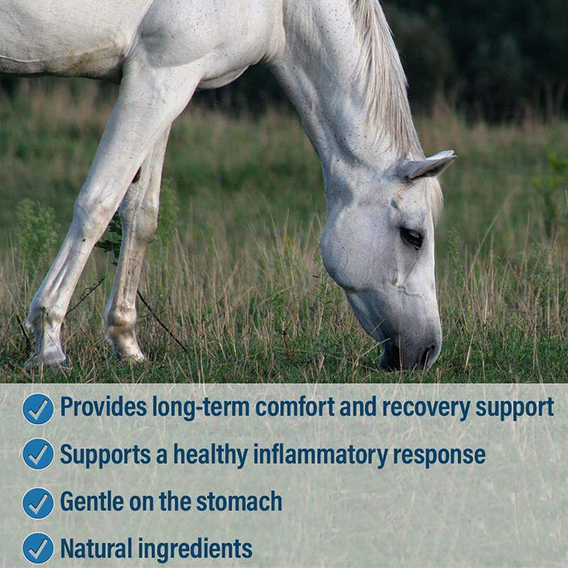 Absorbine Bute-Less Comfort & Recovery Supplement Pellets
