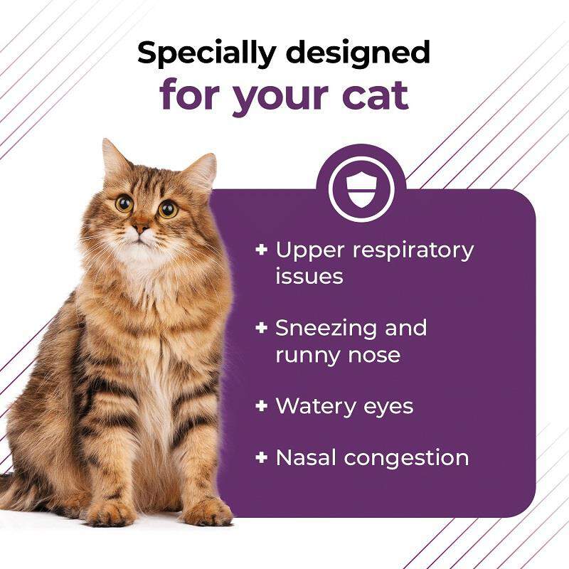 VetriScience Lysine Complete Immune Support Powder for Cats, 60 Servings