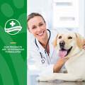 NaturVet Digestive Enzymes, 90 Chewable Tabs