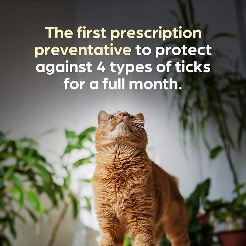 Revolution Plus for Cats