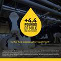 Eprinex Pour-On