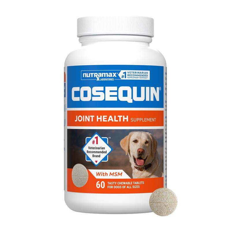 Cosequin Chews Plus MSM