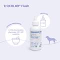 TrizCHLOR Flush 4 oz