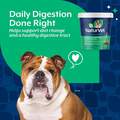 NaturVet Digestive Enzymes Plus Probiotic Soft Chews for Dogs