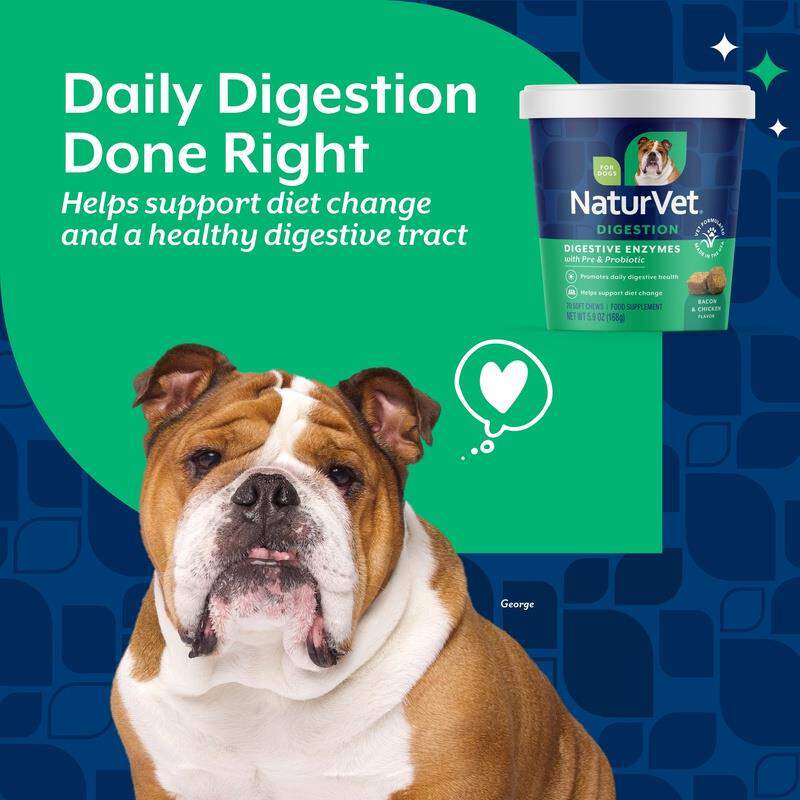 NaturVet Digestive Enzymes Plus Probiotic Soft Chews for Dogs