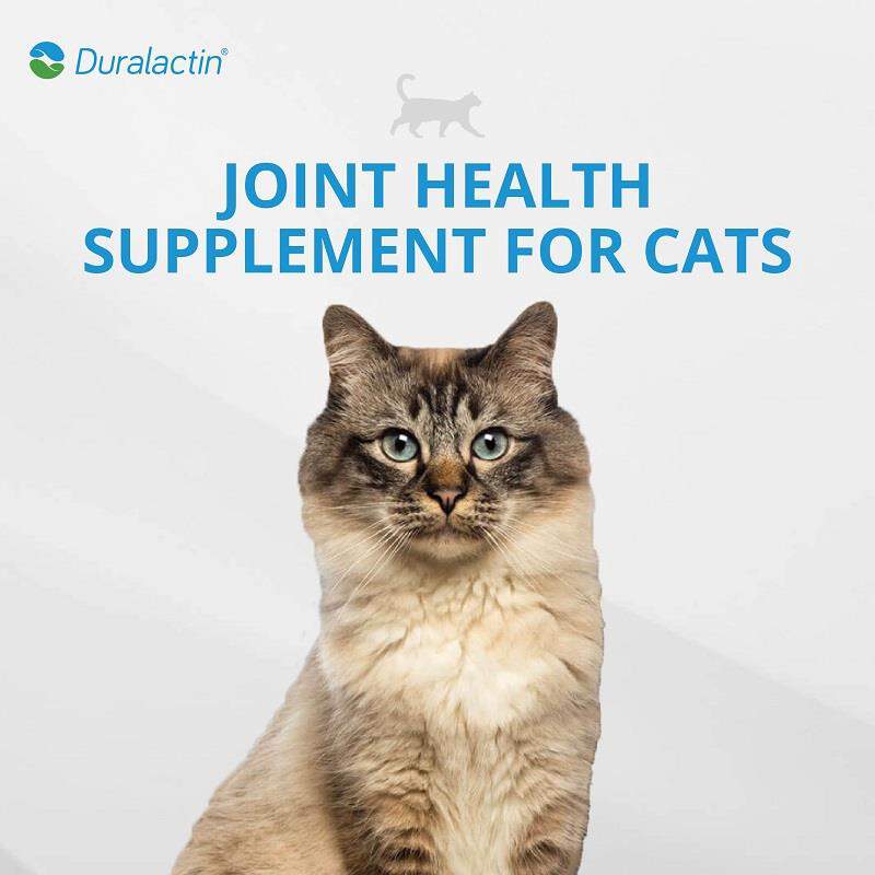 Duralactin Feline + Fatty Acids, 60 soft chews