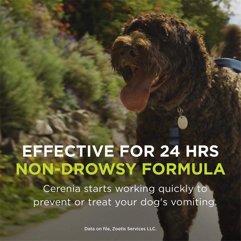 Cerenia Tablets
