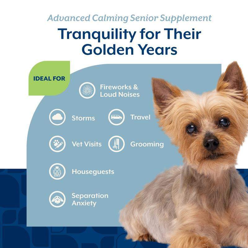 NaturVet Senior Advanced Calming Aid Soft Chews for Dogs