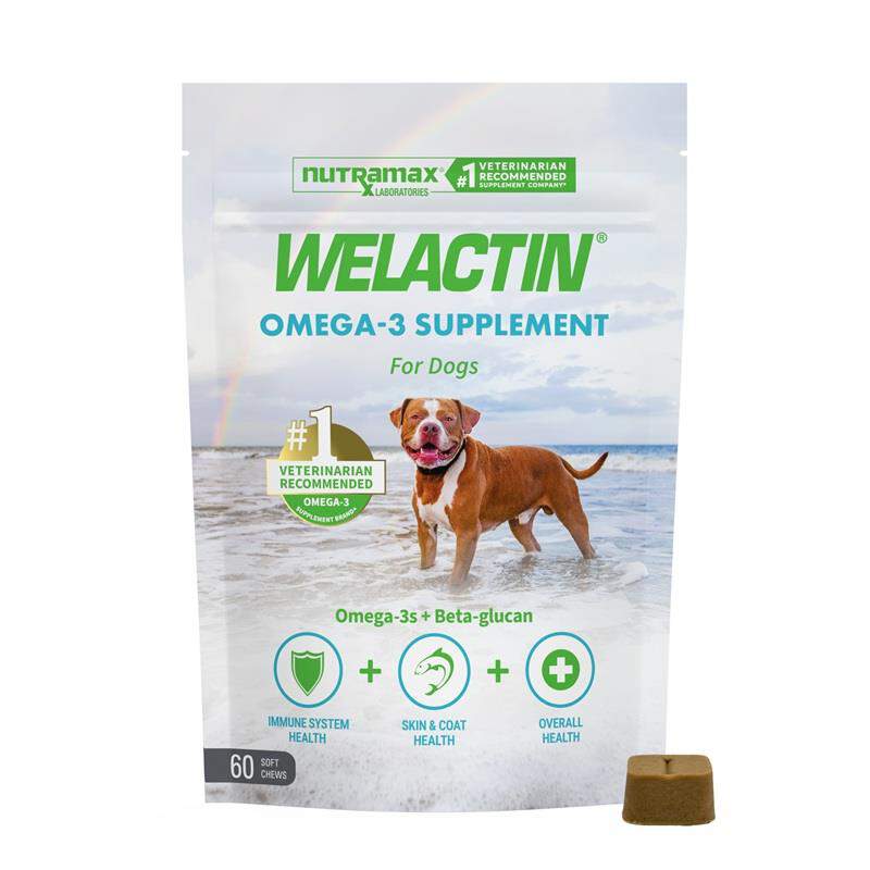 Welactin Omega-3 Skin & Coat Health plus Overall Wellness Supplement for Dogs, 60 Soft Chews