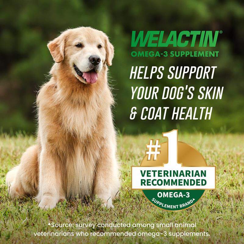 Nutramax Laboratories, Inc. Welactin Canine Softgel Capsules for Dogs, 120 Count