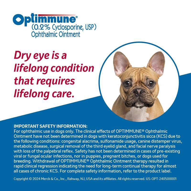 Optimmune Ophthalmic Ointment 0.2%, 3.5g Tube