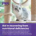 PRN Pharmacal, Inc. Liqui-Tinic 4x Vitamin Supplement for Dogs and Cats, 2 oz