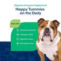 NaturVet Digestive Enzymes Plus Probiotic Soft Chews for Dogs
