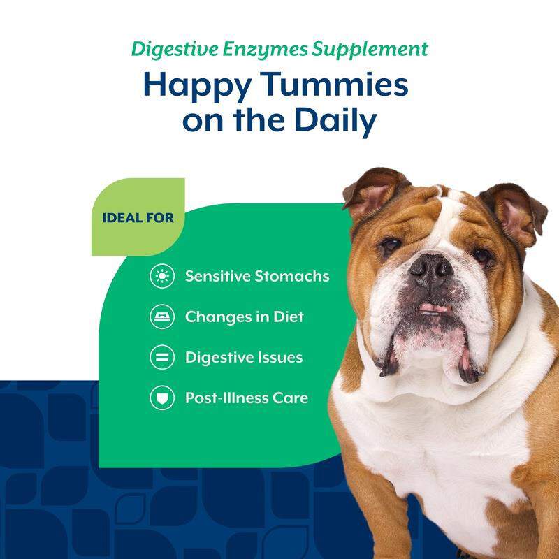 NaturVet Digestive Enzymes Plus Probiotic Soft Chews for Dogs