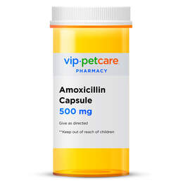 Amoxicillin 500mg and Clavulanate Potassium 125mg Tablet