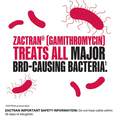 Zactran (Gamithromycin) Injection for Cattle