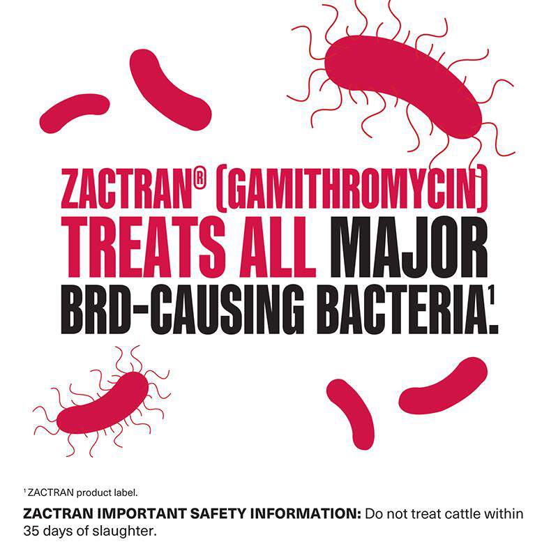 Zactran (Gamithromycin) Injection for Cattle