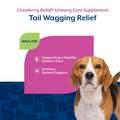 NaturVet Cranberry Relief Healthy Urinary Tract Plus Echinacea Soft Chews for Dogs