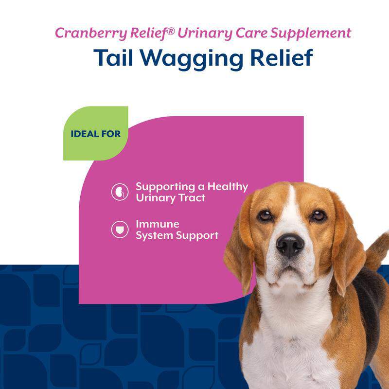NaturVet Cranberry Relief Healthy Urinary Tract Plus Echinacea Soft Chews for Dogs