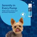 NaturVet Lickable Calming Health Supplement for Dogs, Peanut Butter Flavor, 6.4 fl oz