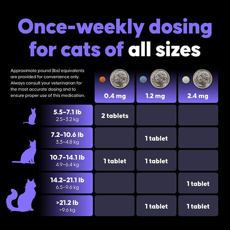 Felycin-CA1 (sirolimus delayed-release tablets) for Cats, 12 Tablets