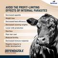 Defendazole (fenbendazole) Suspension 10% Dewormer for Beef & Dairy Cattle and Goats