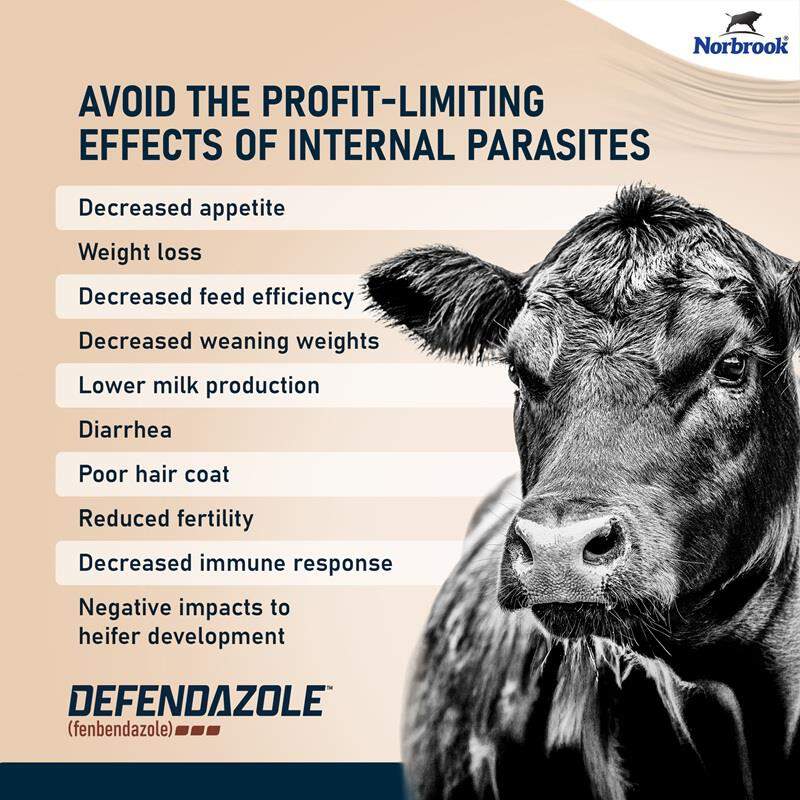 Defendazole (fenbendazole) Suspension 10% Dewormer for Beef & Dairy Cattle and Goats