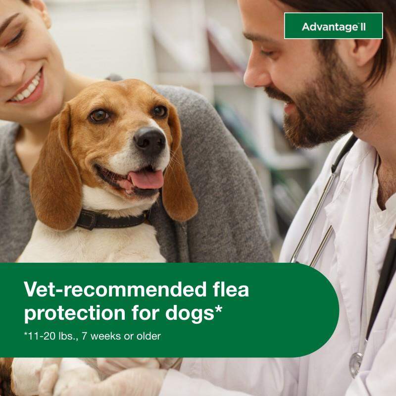 Advantage II for Dogs