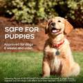 Heartgard Plus Chewables for Dogs