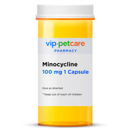 Minocycline 100 mg 1 Capsule