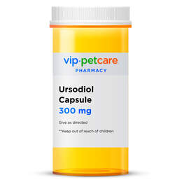 Ursodiol Capsule