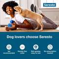 Seresto for Dogs