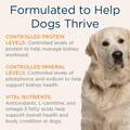 Blue Buffalo Natural Veterinary Diet KS Kidney Support Dry Dog Food