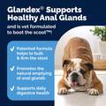 Glandex Anal Gland Support Powder for Dogs and Cats
