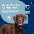 NaturVet Soreness Relief Senior Supplement for Dogs, 60 Count