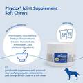 PhyCox Soft Chews