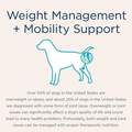 Blue Buffalo Natural Veterinary Diet W+M Weight Management + Mobility Support Dry Dog Food