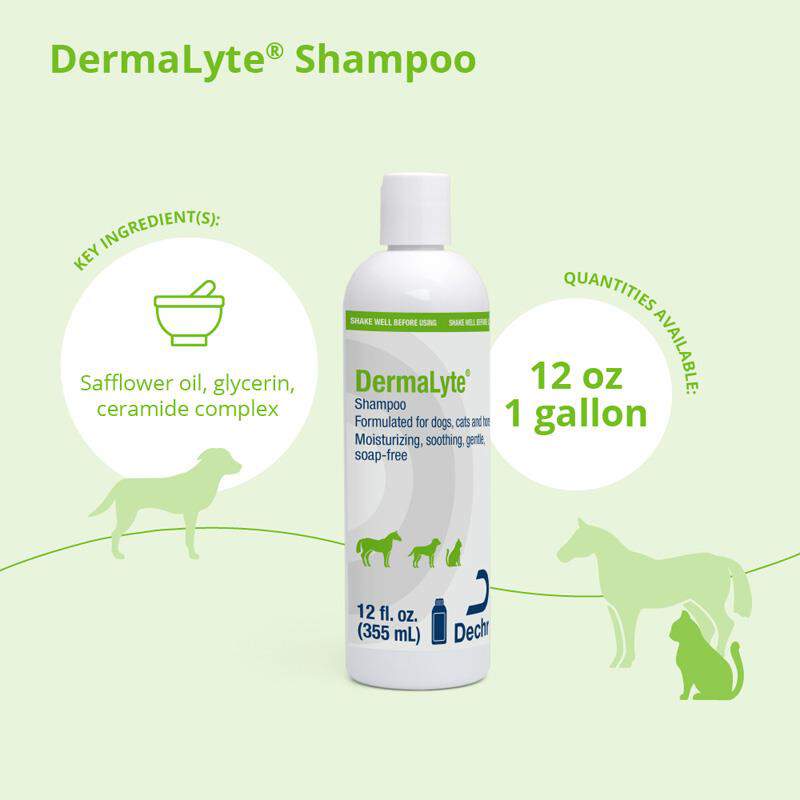 DermaLyte Shampoo