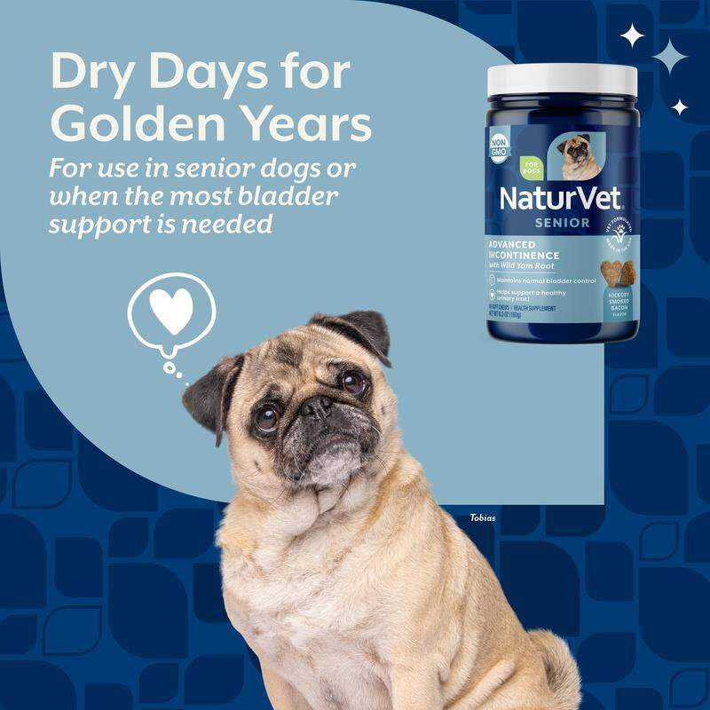 NaturVet Senior Advanced Incontinence Soft Chews Supplement for Dogs 60 Ct.