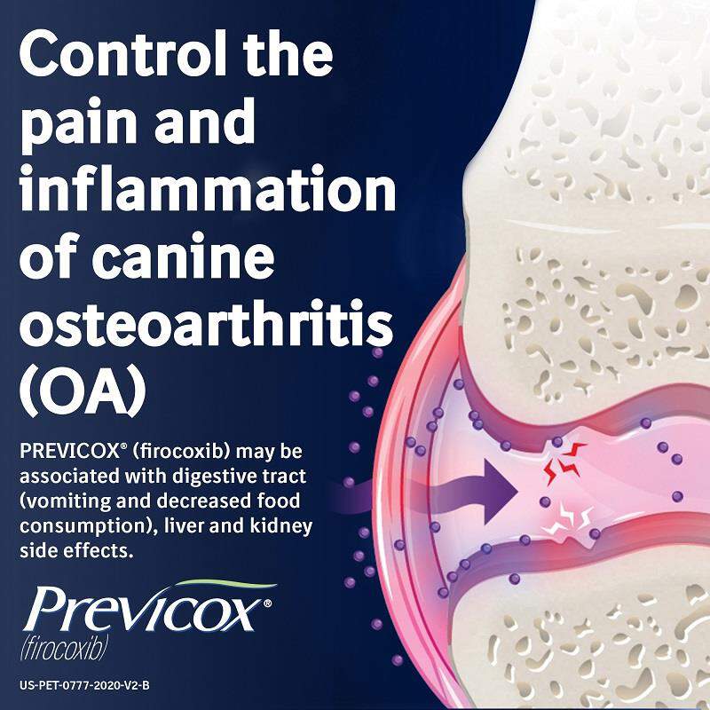 Previcox Chewable Tablets for Dogs