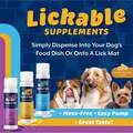 NaturVet Lickable Hip & Joint Health Supplement for Dogs, Peanut Butter Flavor, 6.4 fl oz