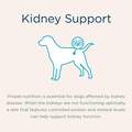 Blue Buffalo Natural Veterinary Diet KS Kidney Support Dry Dog Food