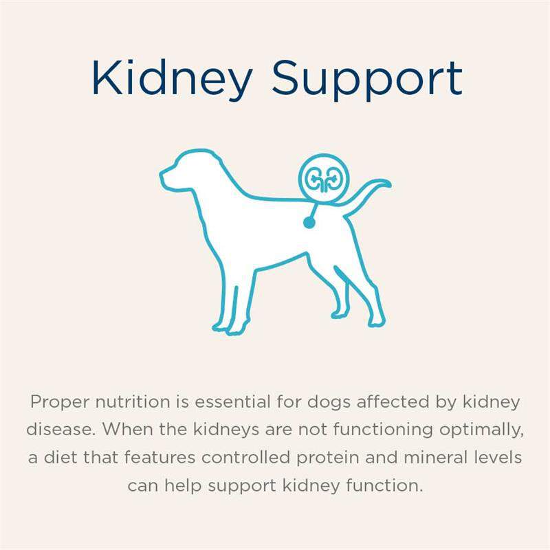 Blue Buffalo Natural Veterinary Diet KS Kidney Support Dry Dog Food