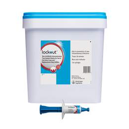 Lockout Teat Sealant for Dairy Cattle, 4 gm syringe x 144 ct pail