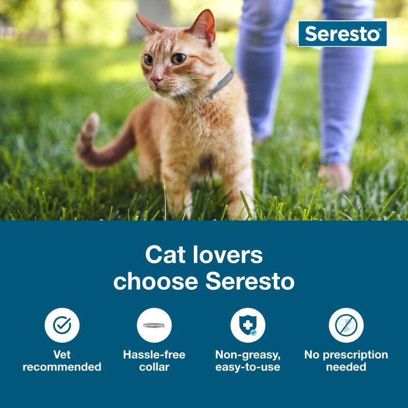 Seresto Flea and Tick Prevention Collar for Cats, 8 month flea and tick prevention