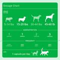 Eicosa3FF SnipCaps Small for Dogs and Cats up to 60 lbs