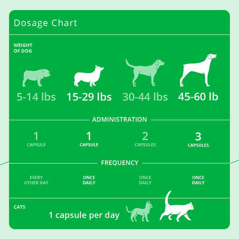 Eicosa3FF SnipCaps Small for Dogs and Cats up to 60 lbs