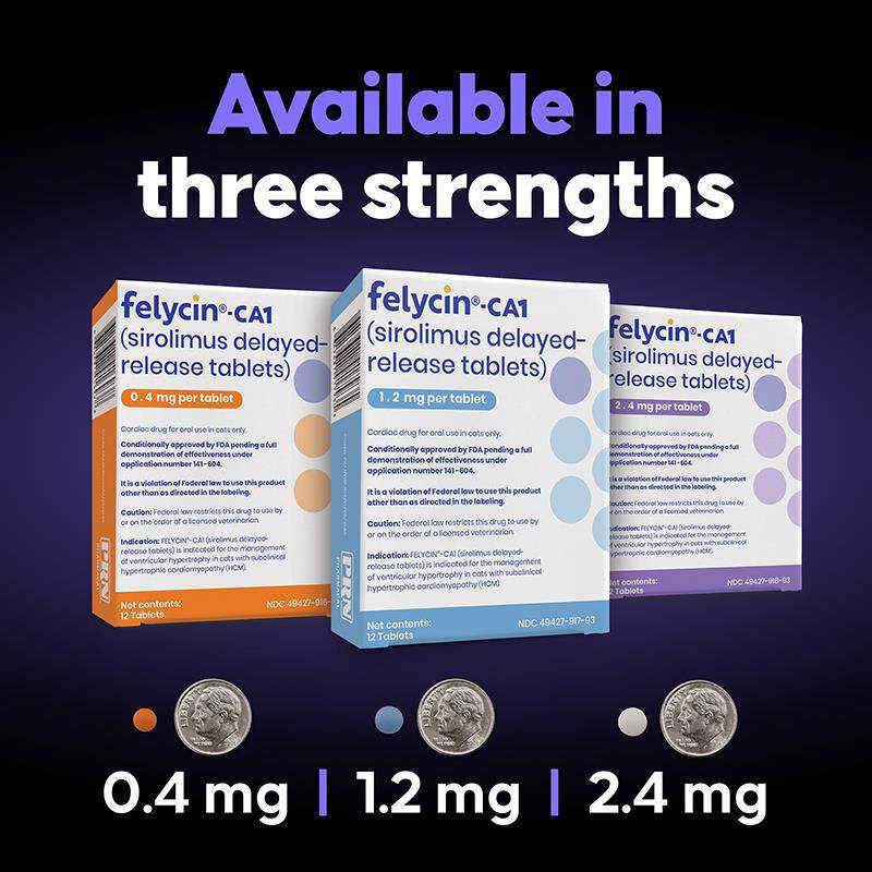 Felycin-CA1 (sirolimus delayed-release tablets) for Cats, 12 Tablets